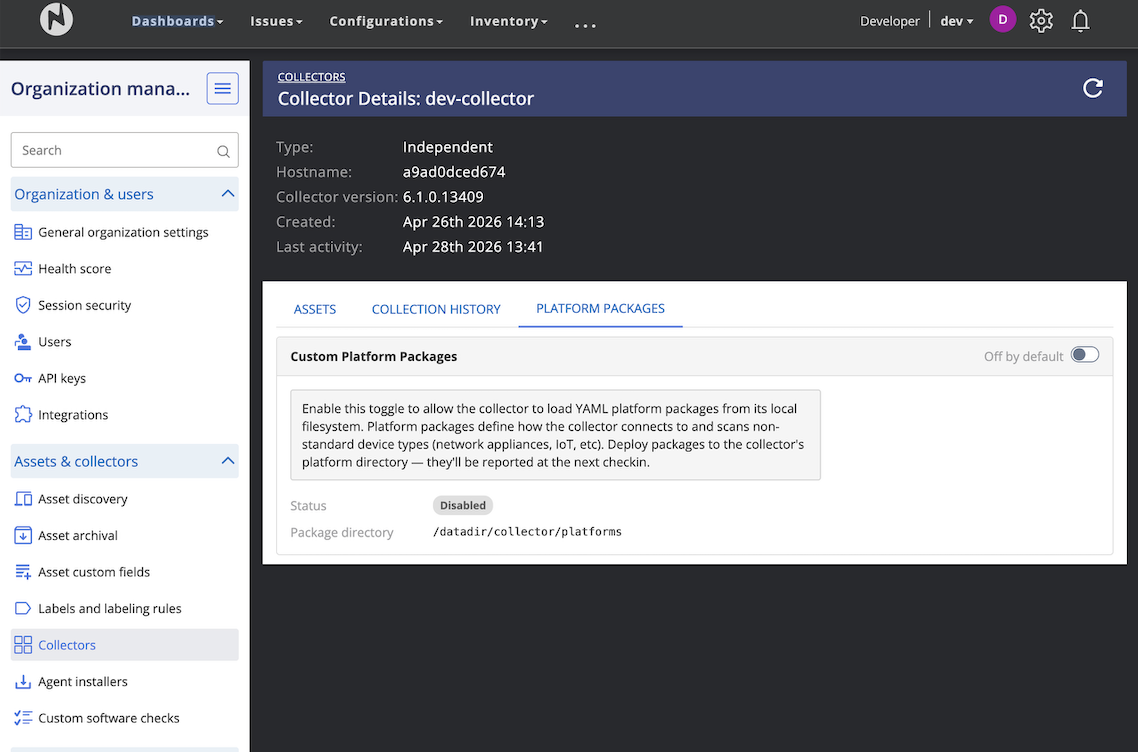 Add asset dialog with Server type set to a custom platform package, marked with a Custom badge